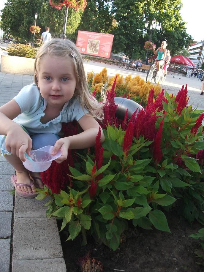  - 2011. augusztus